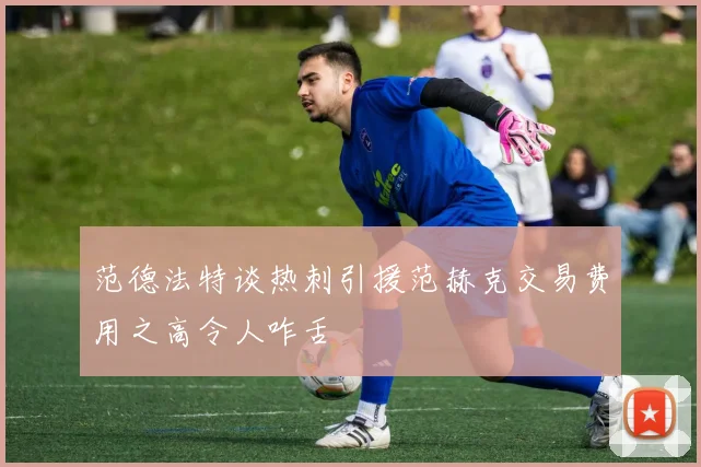 范德法特谈热刺引援范赫克交易费用之高令人咋舌